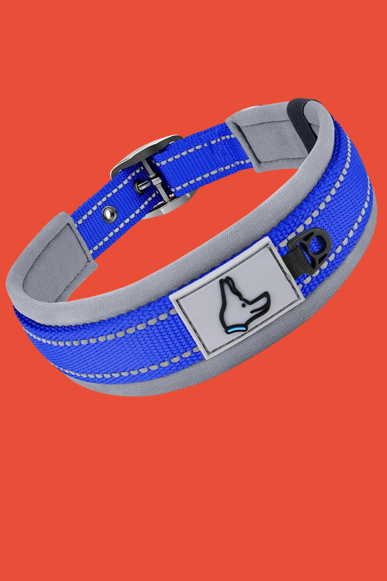 collier chien bleu foncé