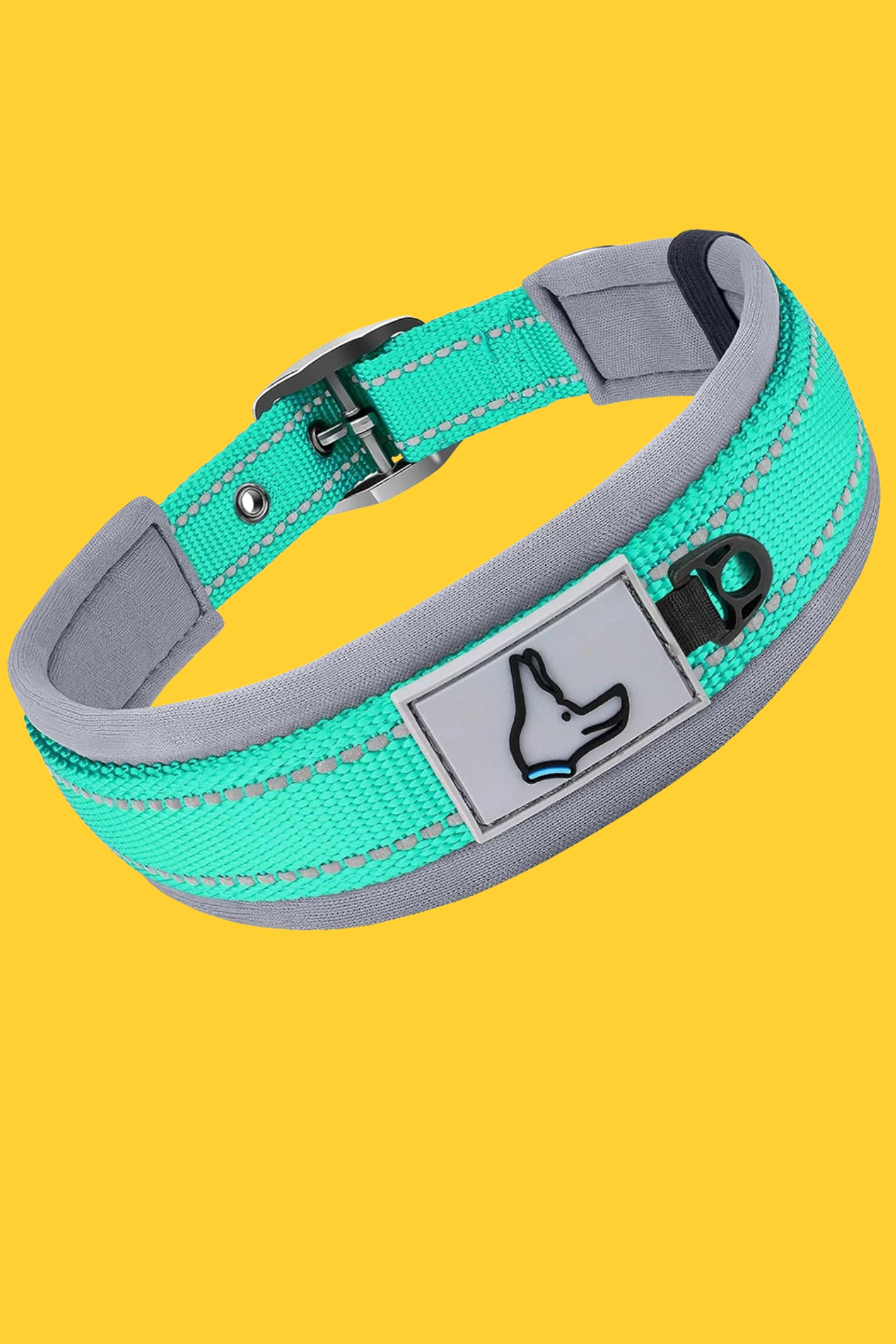 collier chien bleu pastel