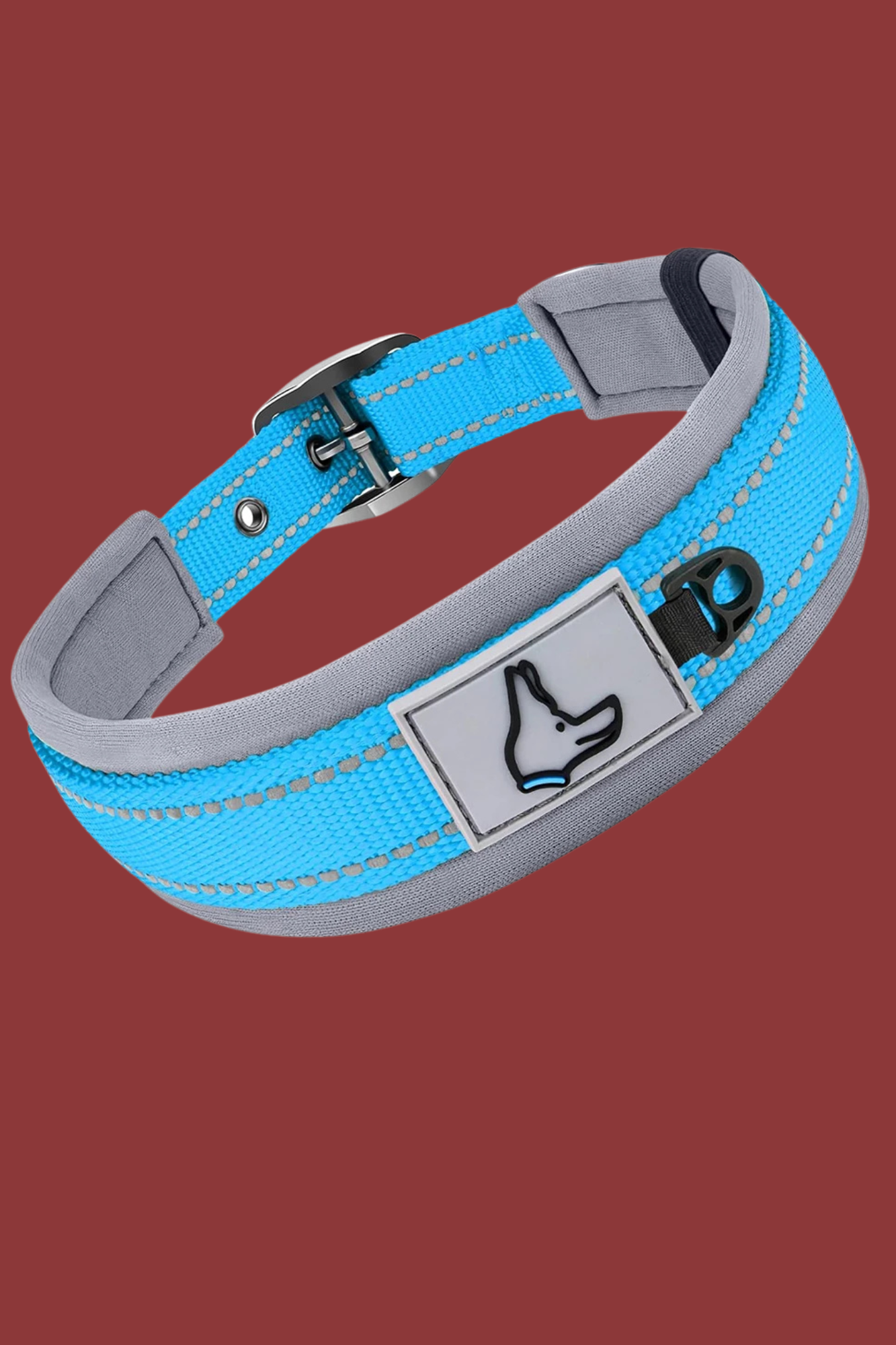 collier chien bleu