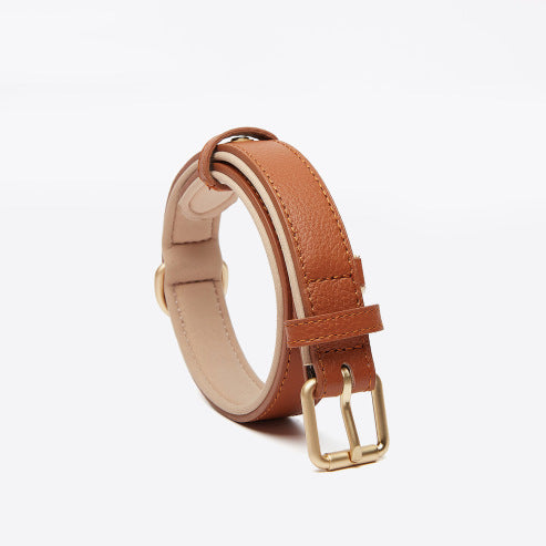 Collier chien brun Premium Confort