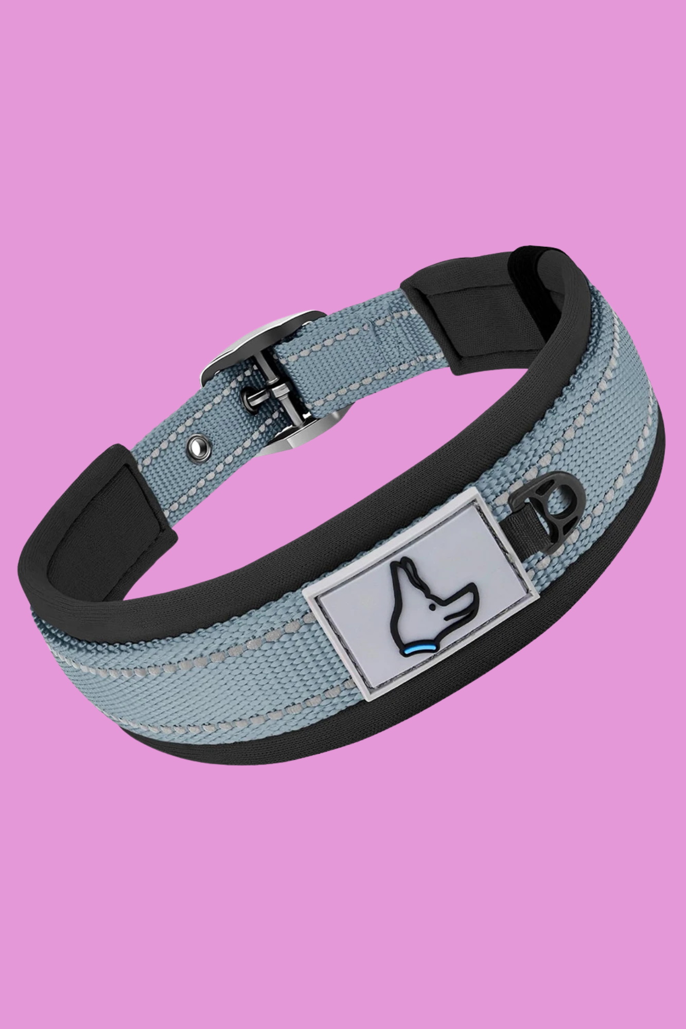 collier chien noir gris