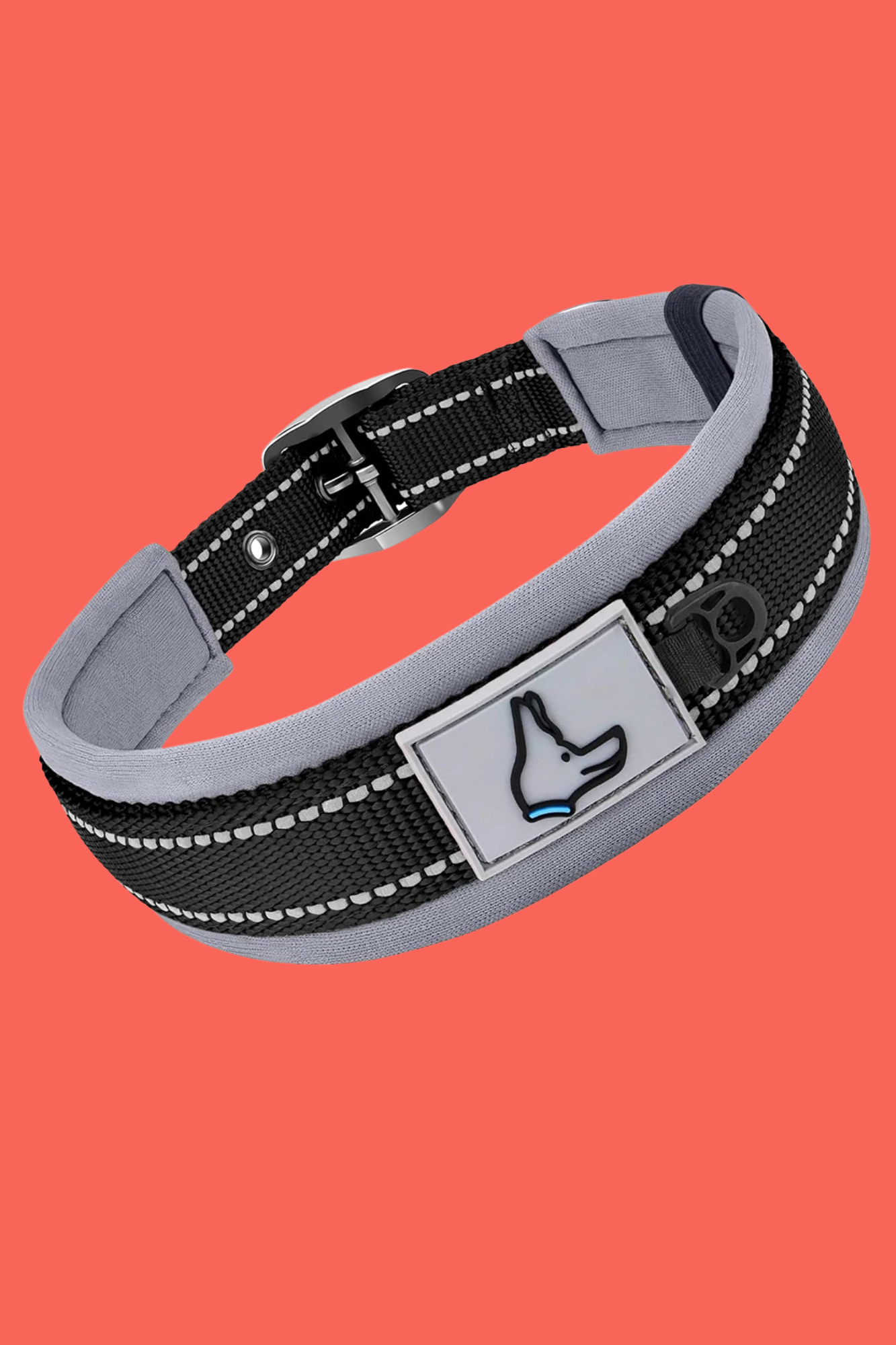 collier chien noir 