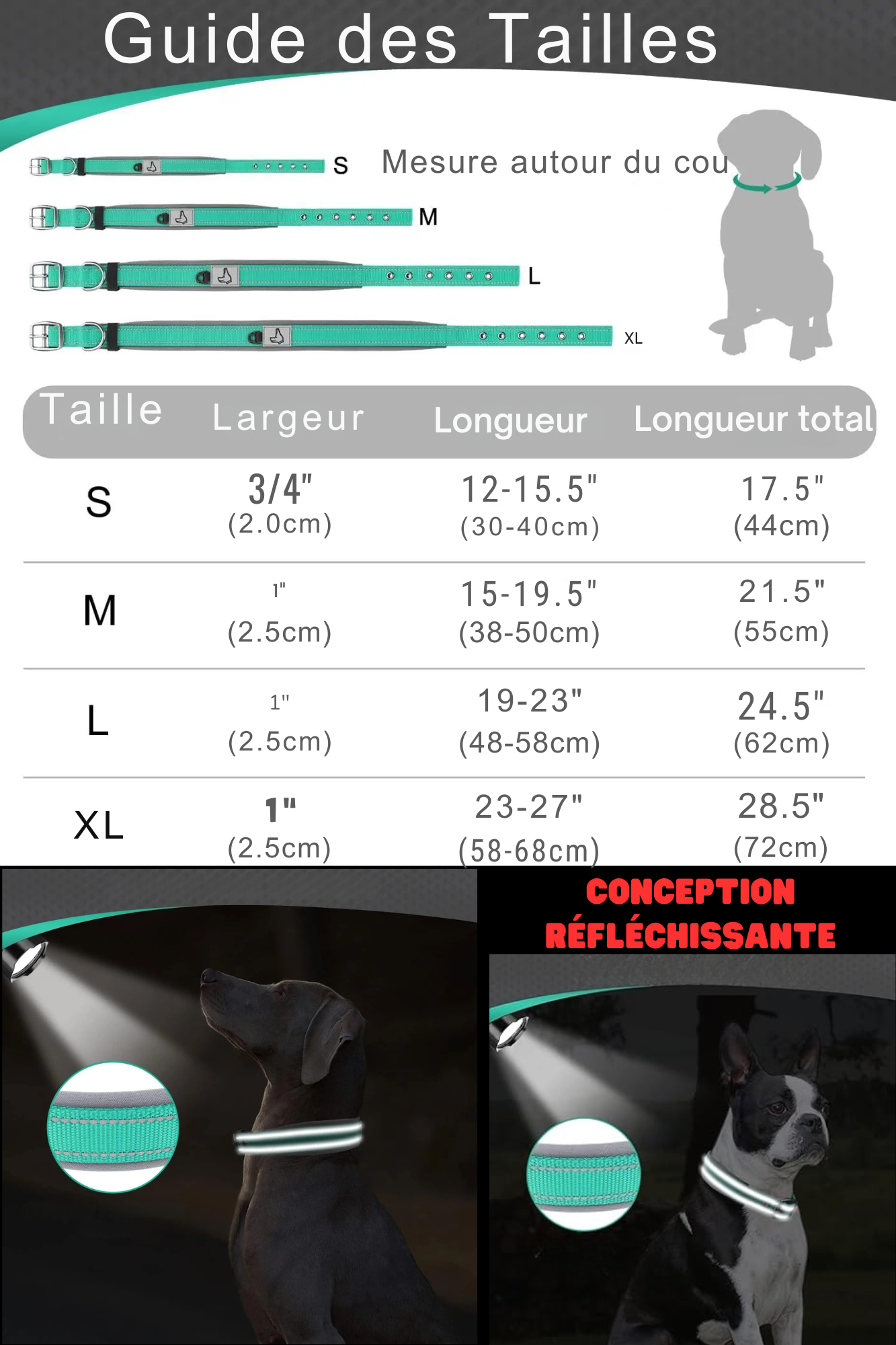 collier chien reflechissante mesure