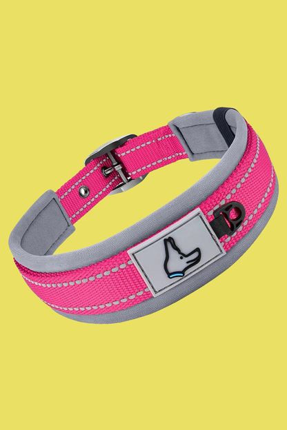 collier chien rose rouge 