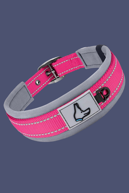 collier chien rose