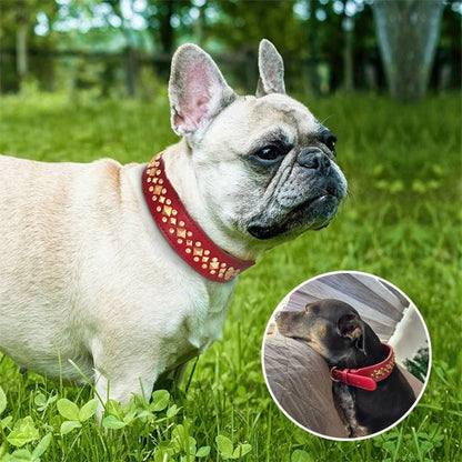 Collier chien rouge Premium Résistant
