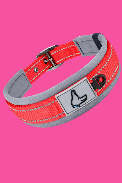 collier chien rouge