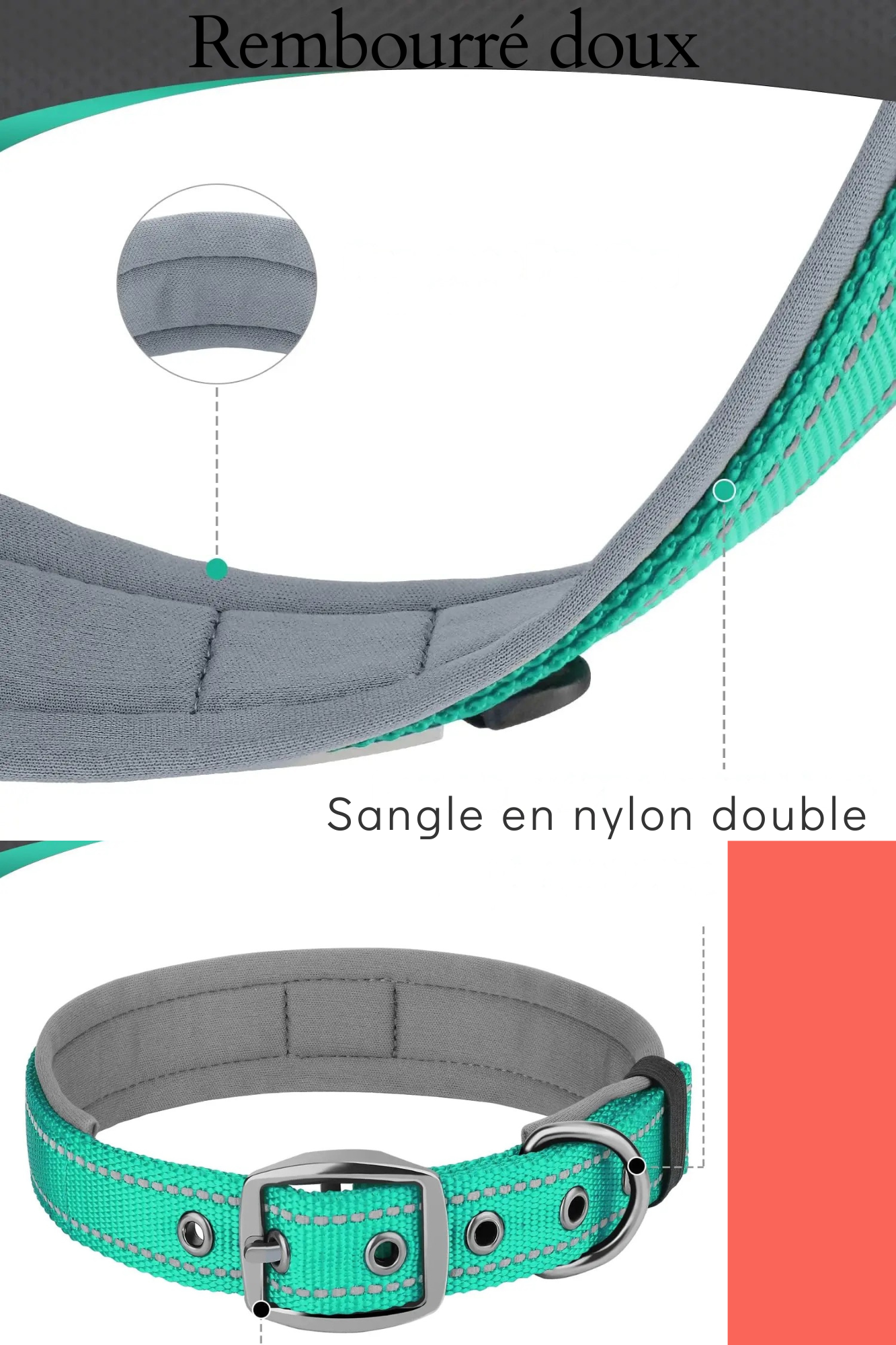 collier chien sangle nylon