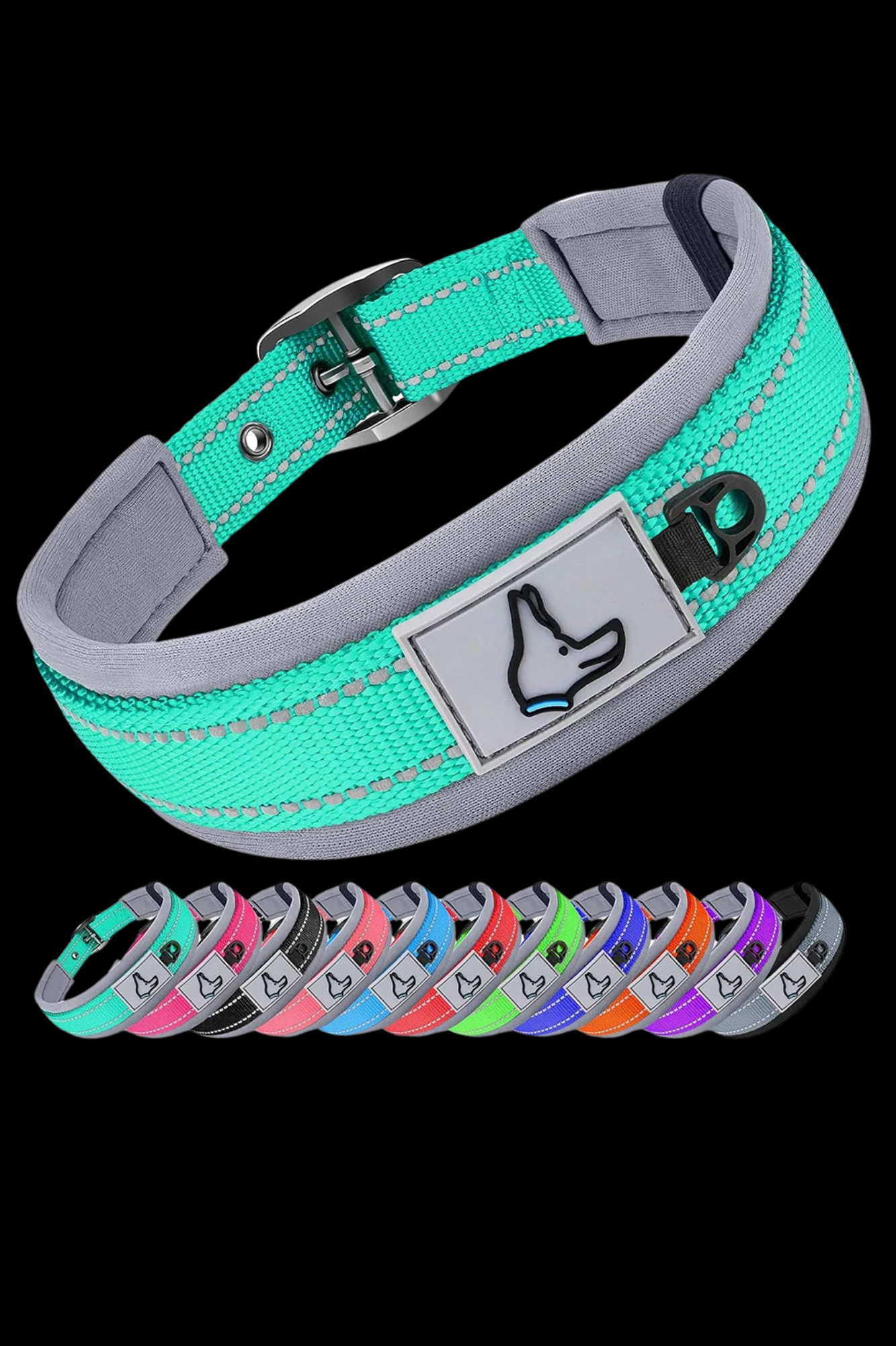 collier chien variete