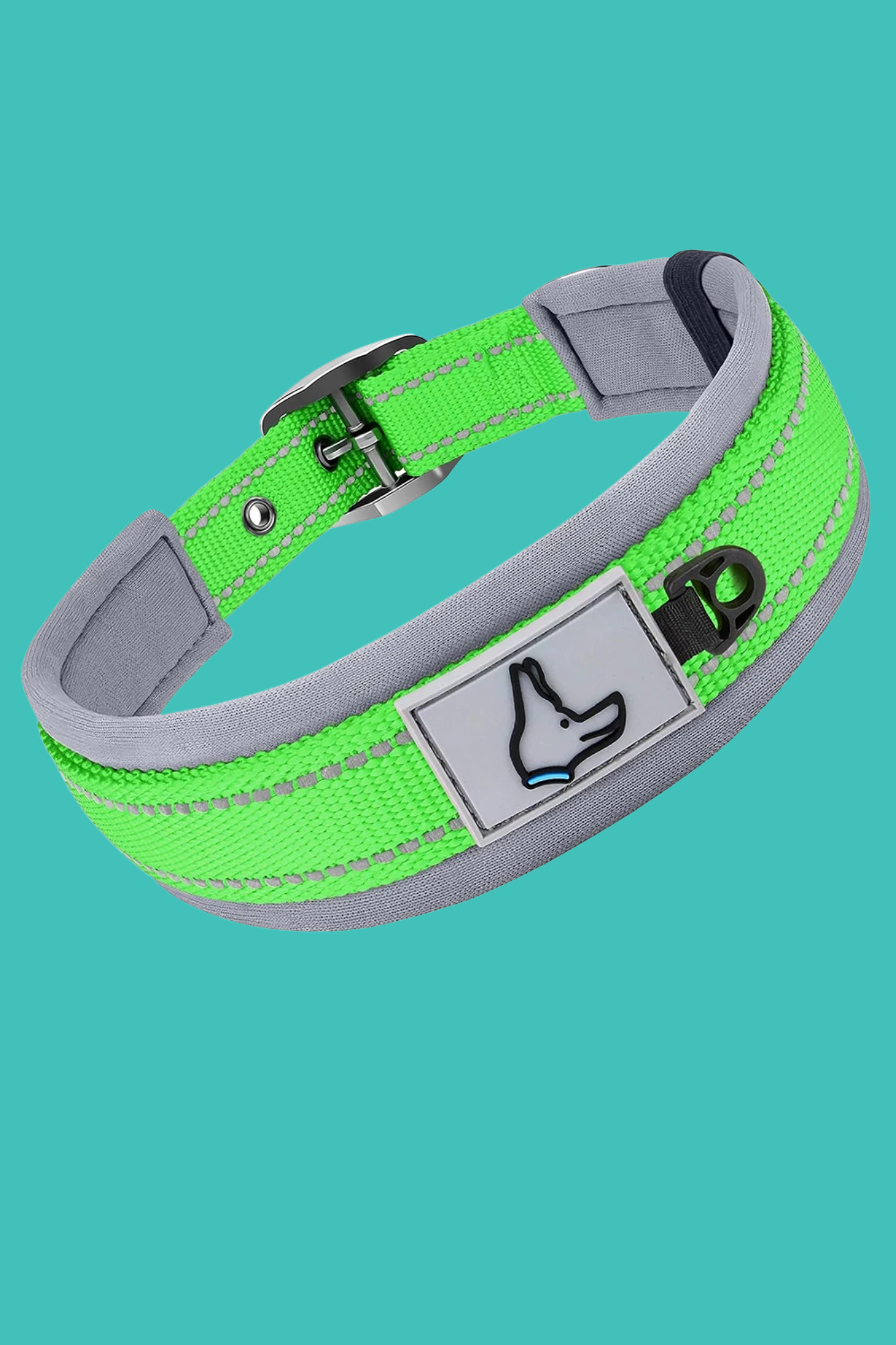collier chien vert