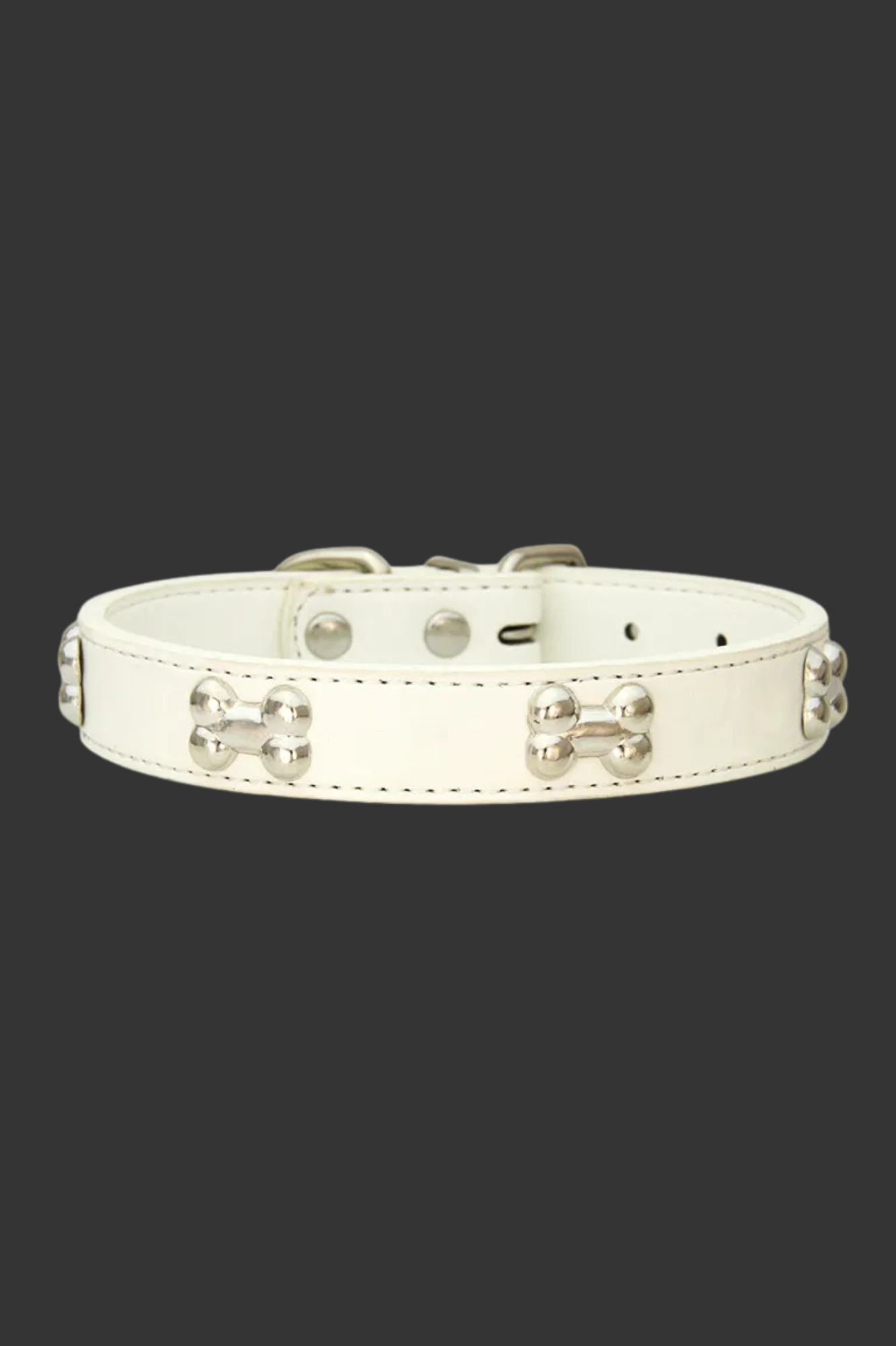 collier de dressage pour chien blanc