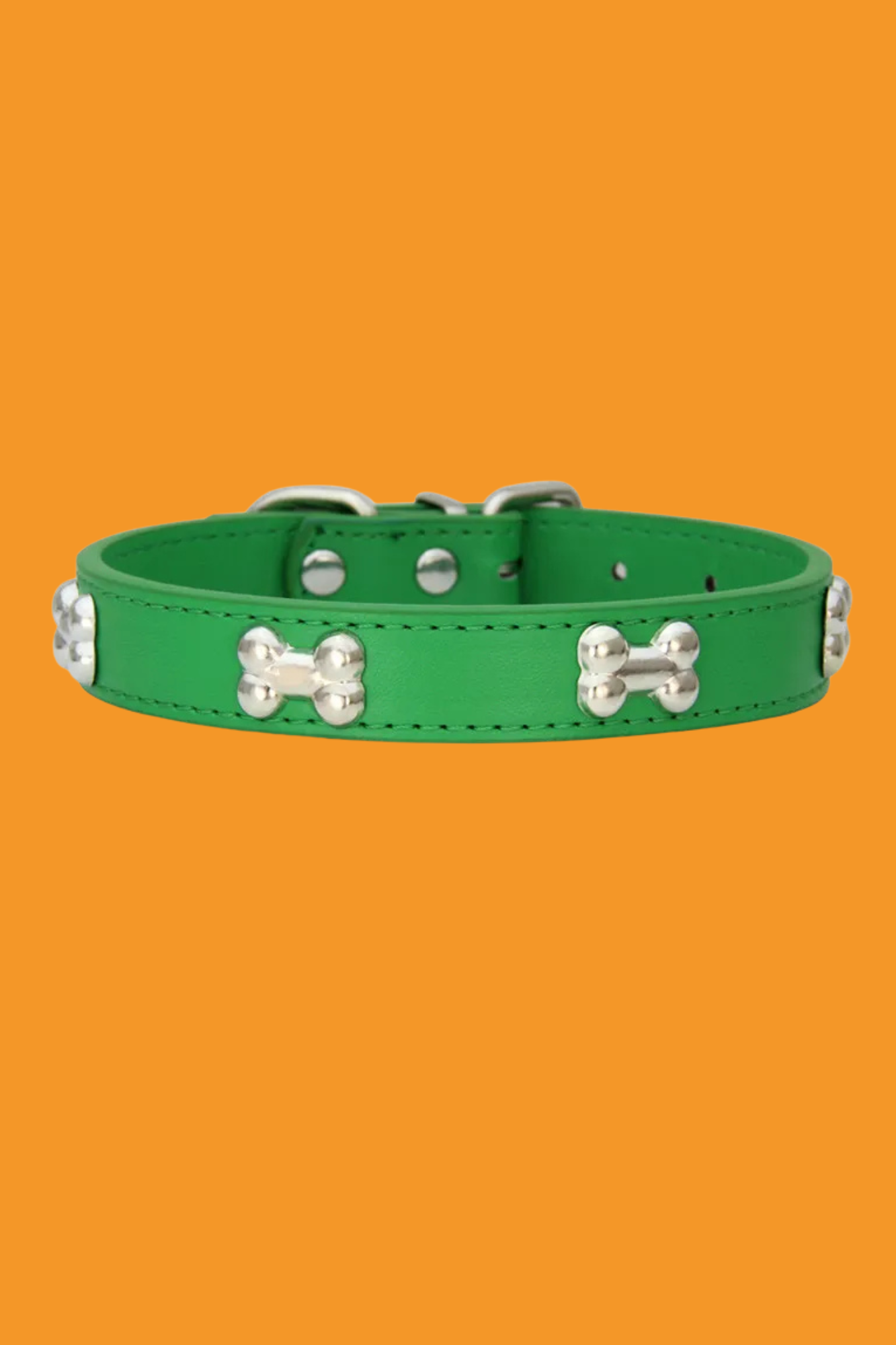collier de dressage pour chien vert