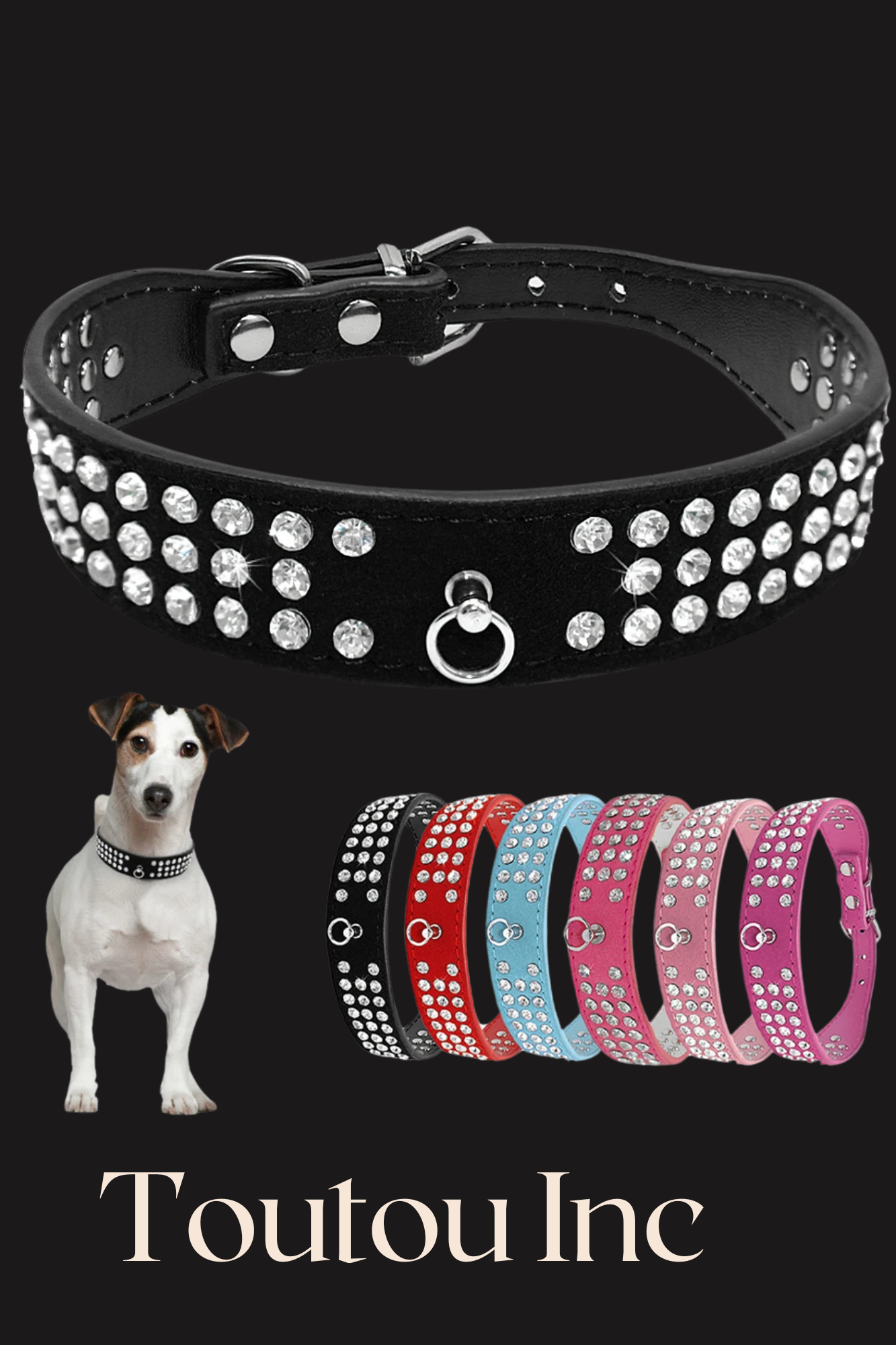 collier de dressage pour chien 