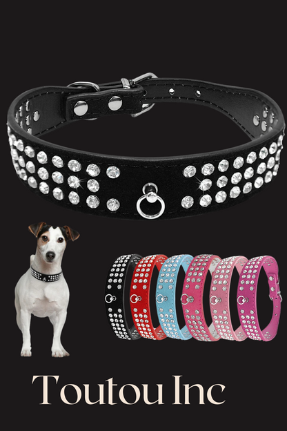 collier de dressage pour chien 