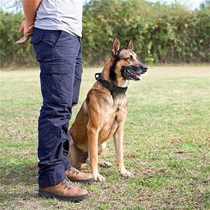 collier de dressage pour chien