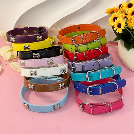 collier dressage couleur multiple