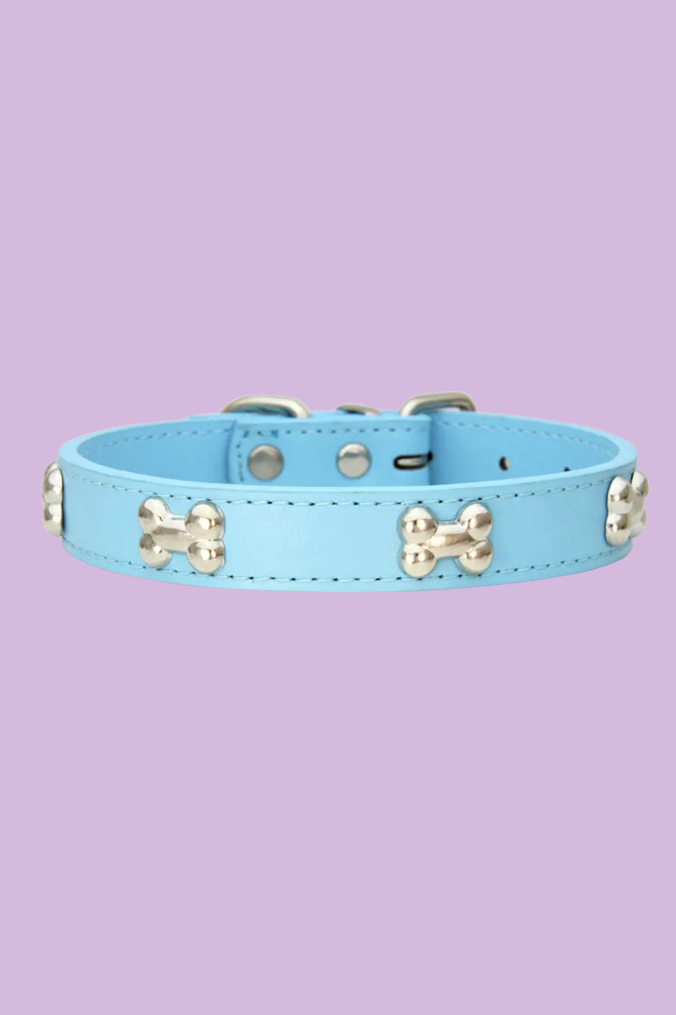 collier dressage pour chien bleu ciel 