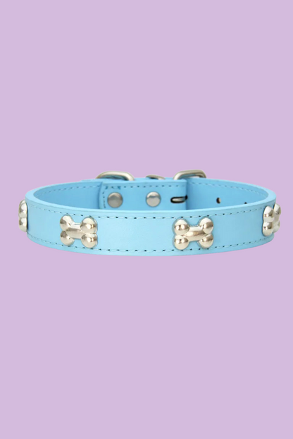 collier dressage pour chien bleu ciel 
