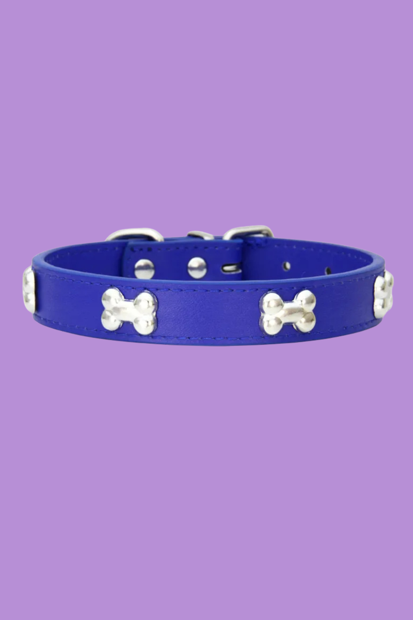 collier dressage pour chien bleu foncé