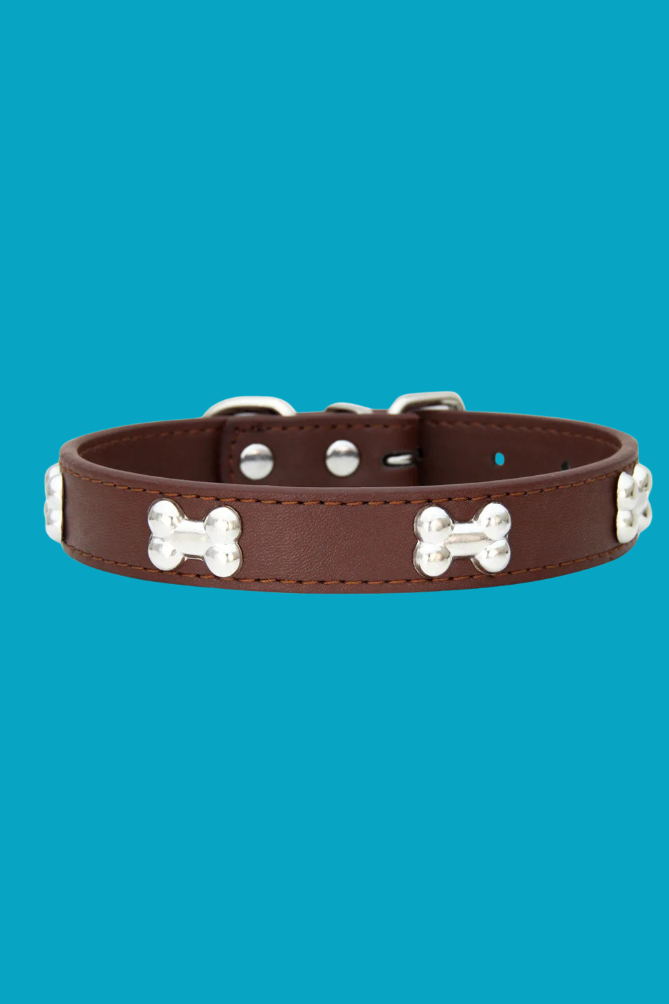 collier dressage pour chien café