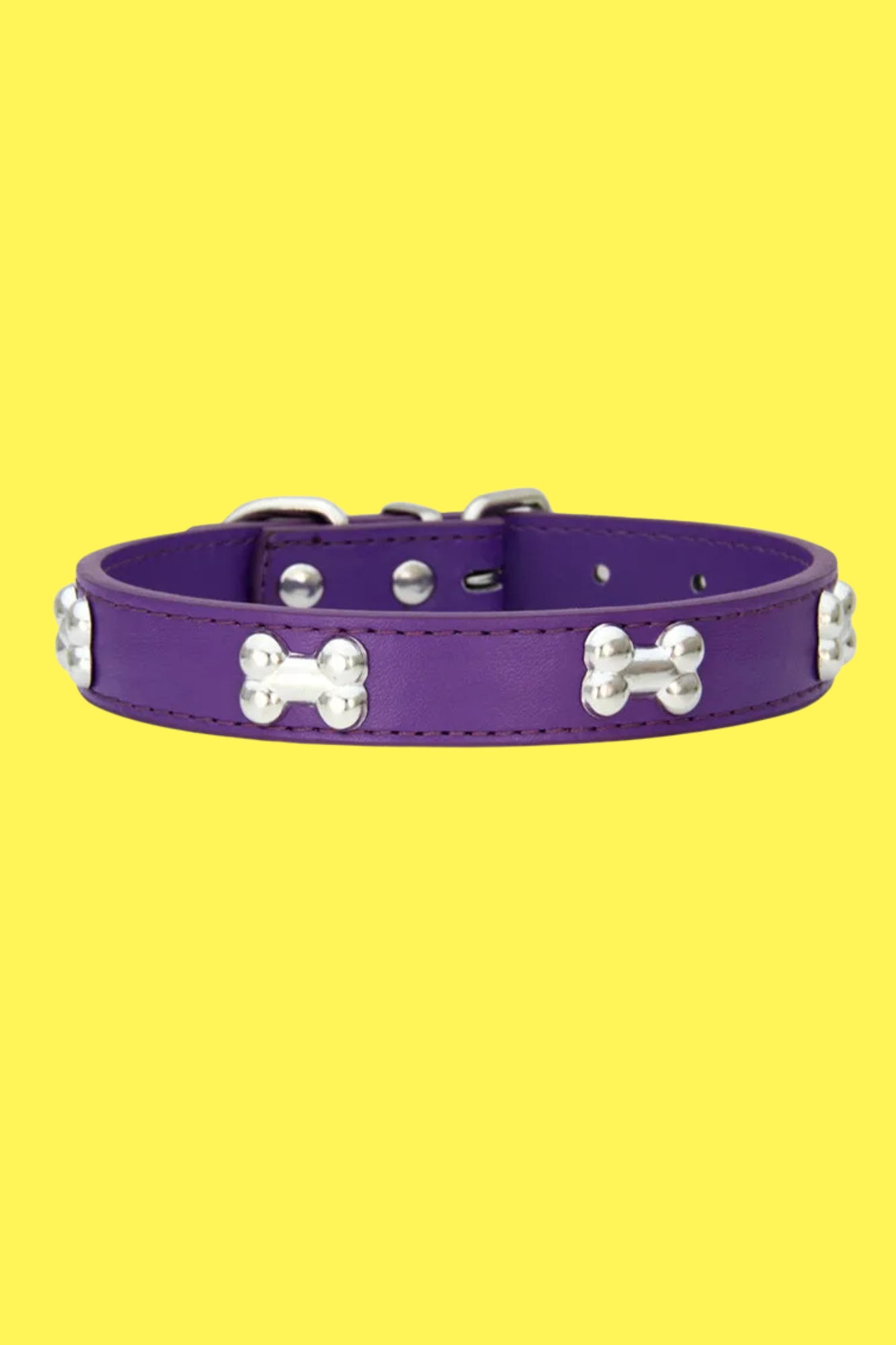 collier dressage pour chien mauve