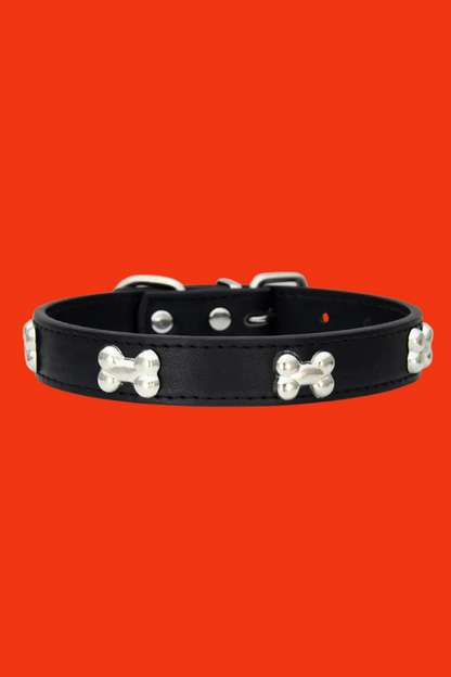 collier dressage pour chien noir