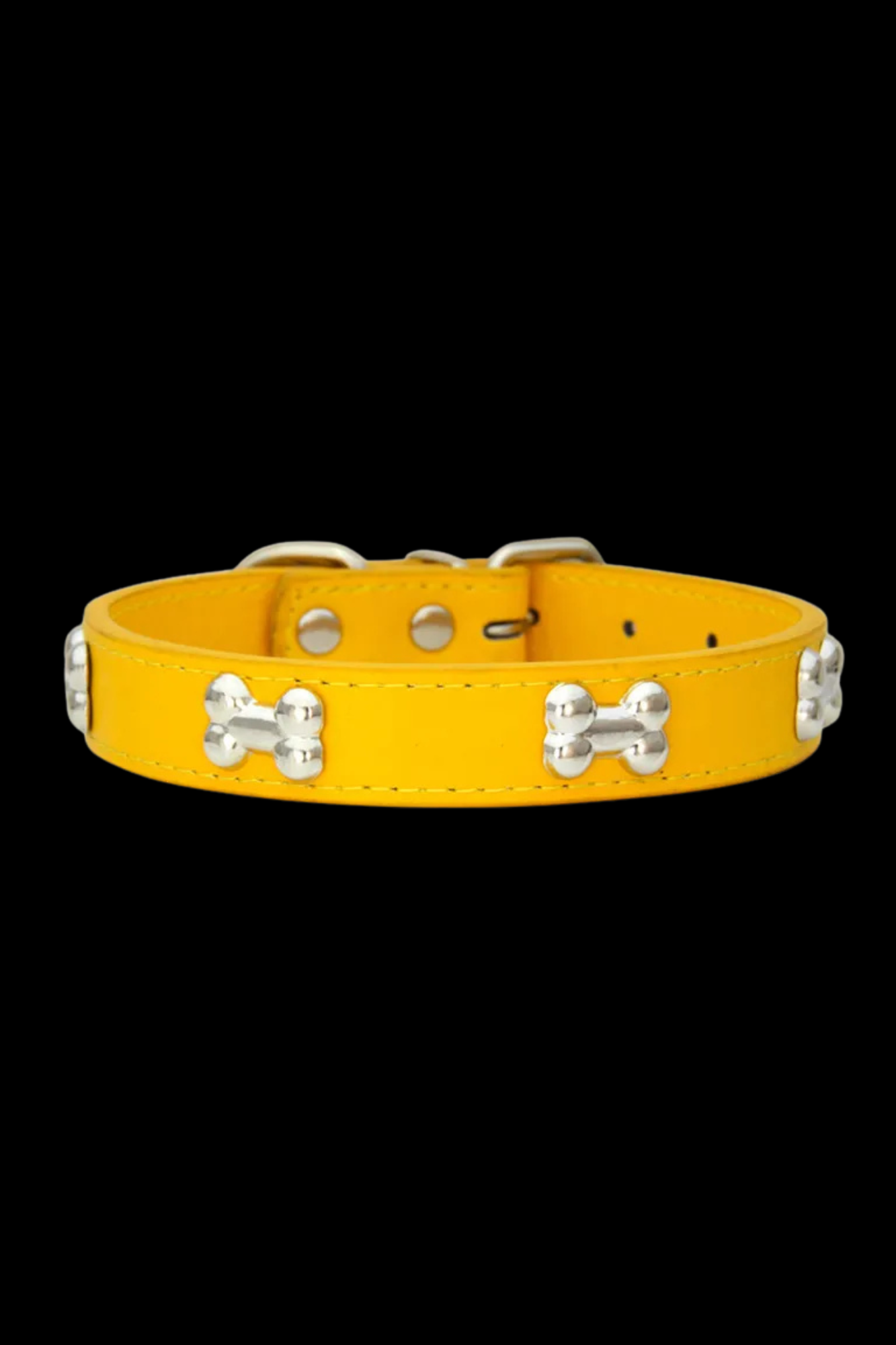 collier dressage pour chien or