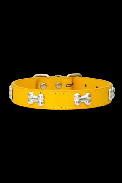 collier dressage pour chien or