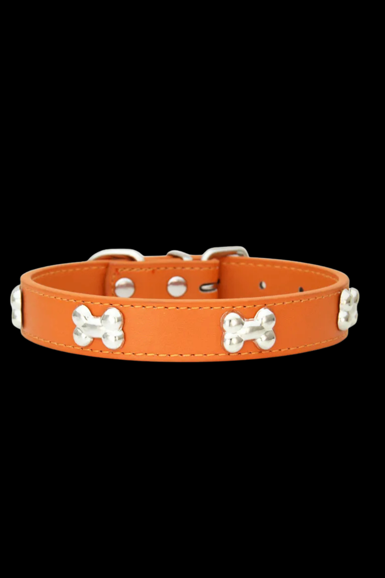 collier dressage pour chien orange