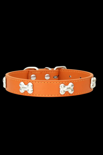 collier dressage pour chien orange
