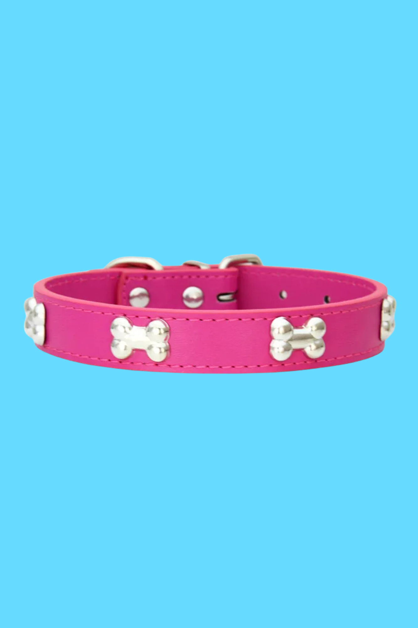 collier dressage pour chien rose rouge