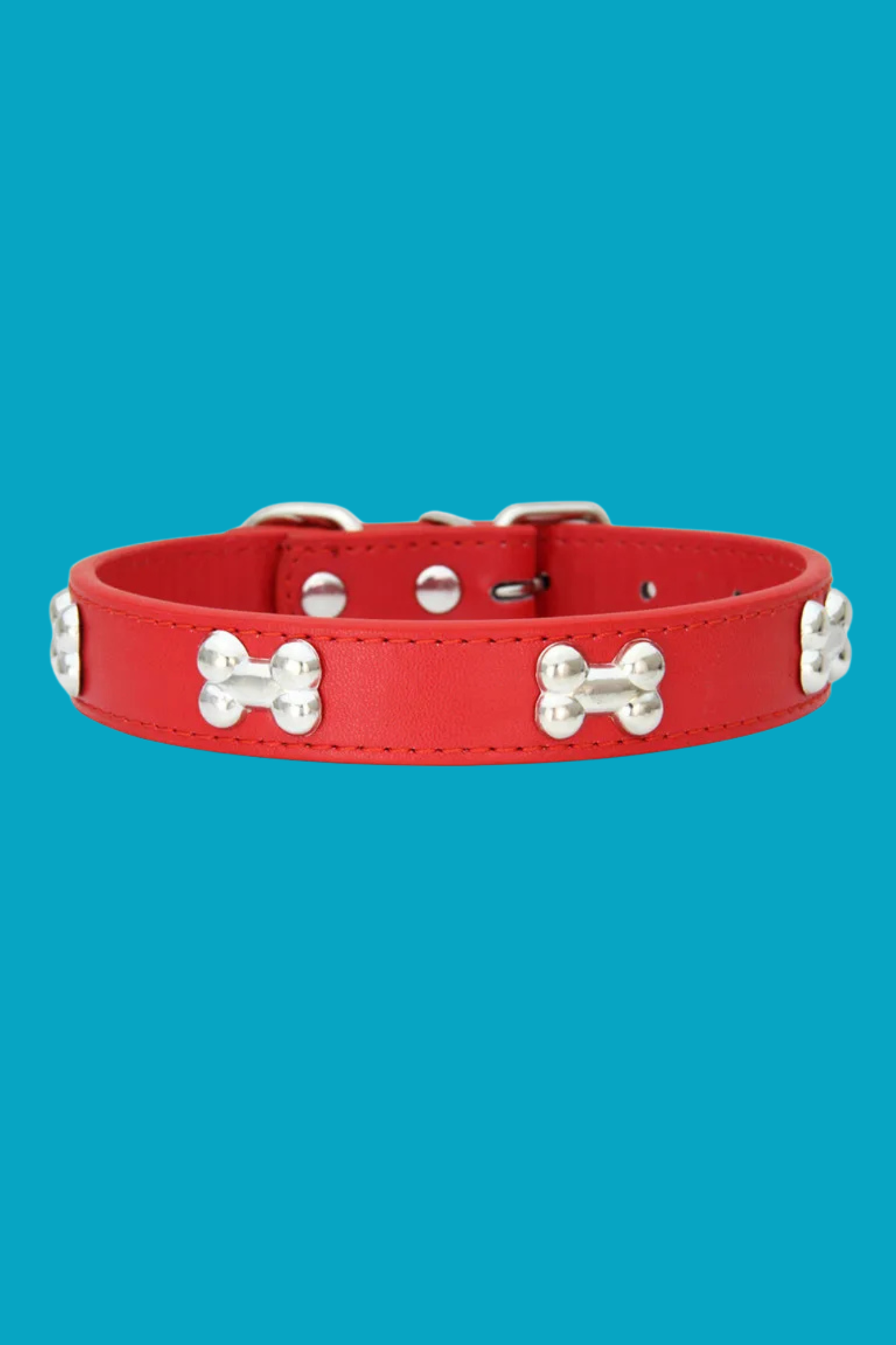 collier dressage pour chien rouge