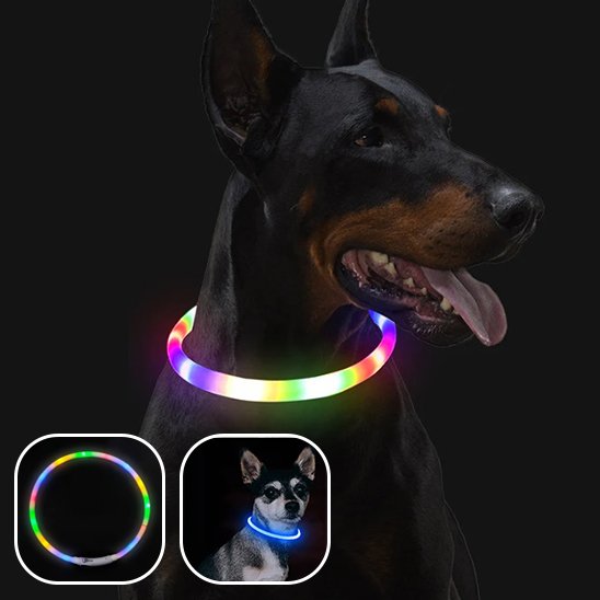 Collier lumineux chien arc en ciel