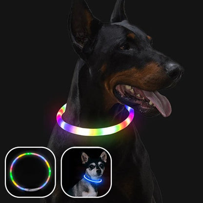 Collier lumineux chien arc en ciel