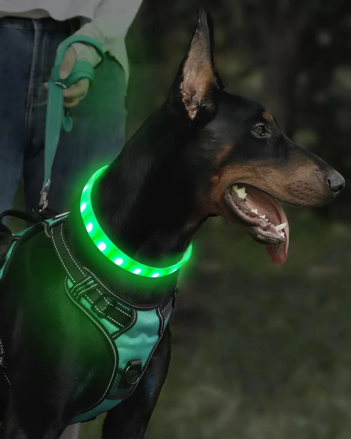 collier lumineux obscure