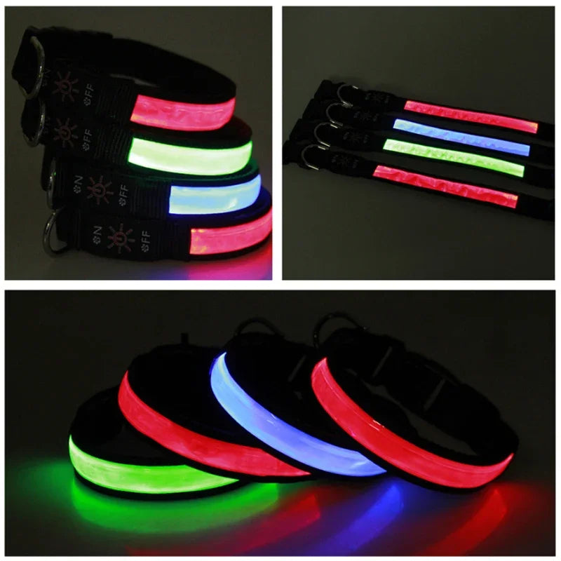 collier lumineux toutouinc