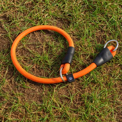 Collier orange pour chien