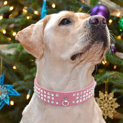 Collier pour chien Résistant et Ajustable rose