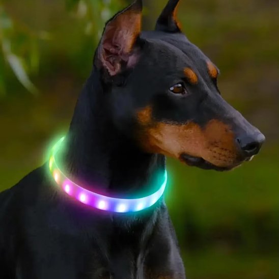 Collier pour chien Résistant et Confortable arc en ciel 