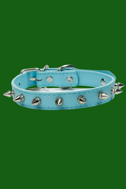 collier pour chien en cuir bleu ciel