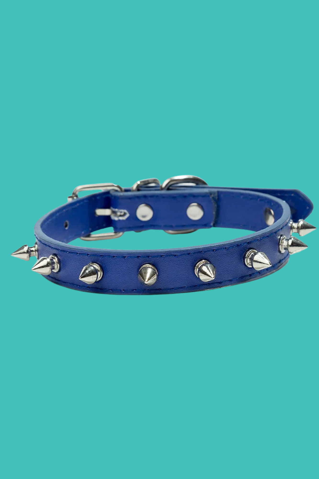 collier pour chien en cuir bleu
