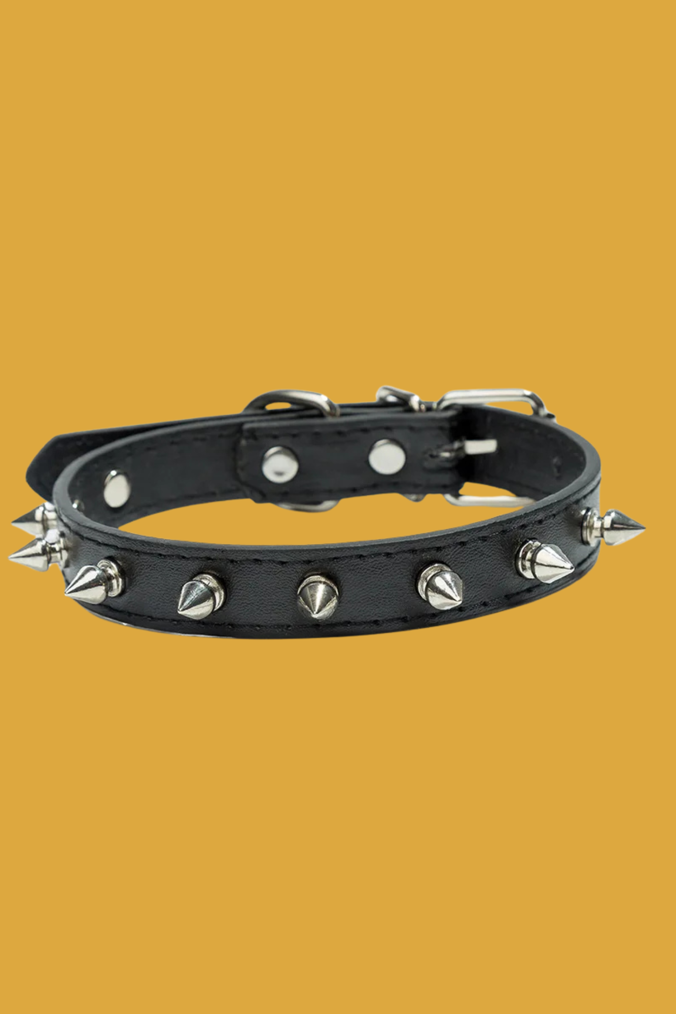 collier pour chien en cuir noir
