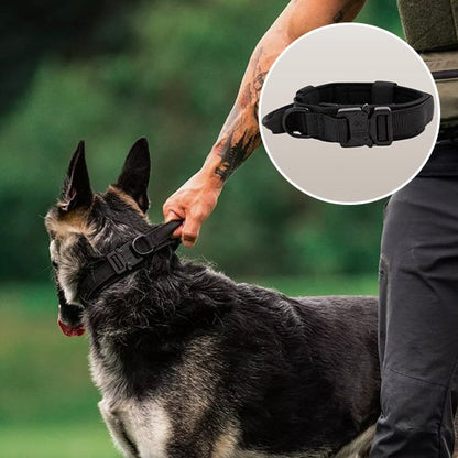 Collier pour chien noir robuste