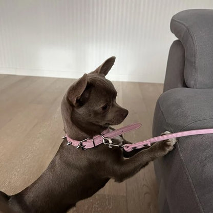 Collier pour chien rose