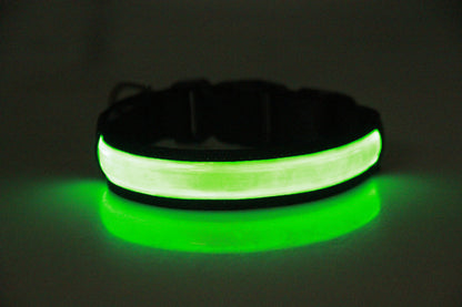 Colliers lumineux pour chiens Sécurité Nocturne vert