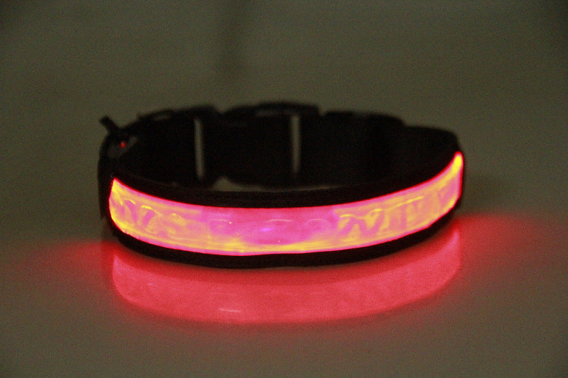 Colliers lumineux pour chiens rouge
