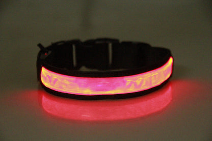Colliers lumineux pour chiens rouge