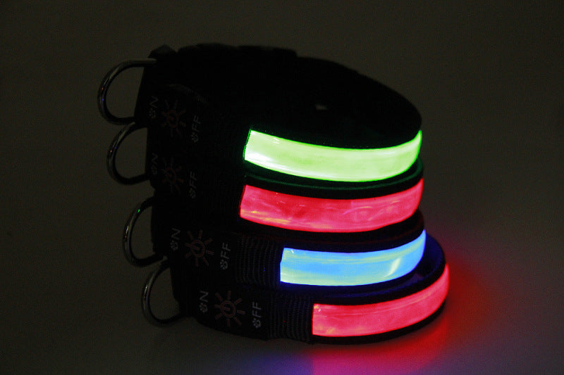 Colliers lumineux pour chiens vert rouge bleu