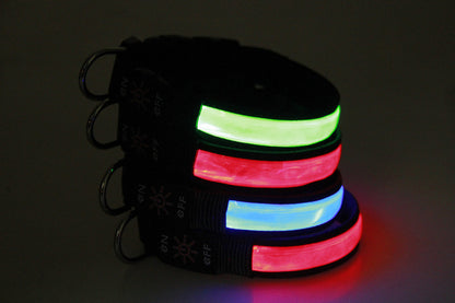 Colliers lumineux pour chiens vert rouge bleu