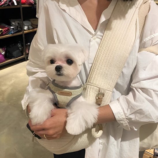 confo Sac de transport pour chien